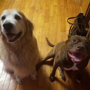 Meet your Posher, Michele